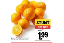 spaanse handsinaasappels