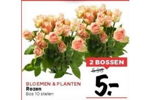 bloemen en planten