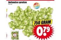 hollandse spruiten