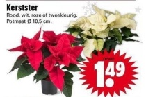 kerstster