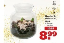 hyacint in decoratie glas