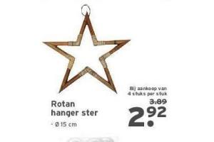 rotan hanger ster