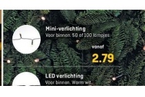 mini verlichting 50 lampjes