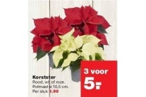 kerstster