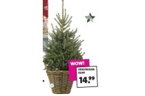 kerstboom in mand