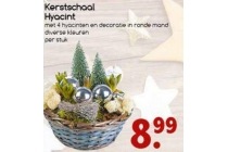 kerstschaal hyacint