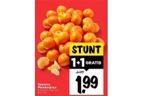 spaanse mandarijnen