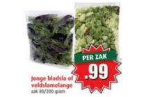 jonge bladsla of veldslamelange