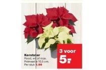 kerstster