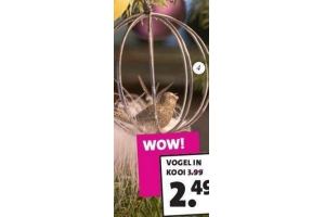vogel in kooi