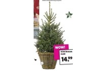 kerstboom