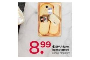 spar luxe kaasplank