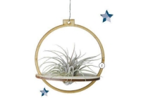 houten hanger met tillandsia