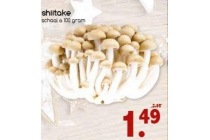 shiitake