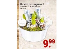 hyacint arrangement