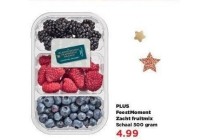 plus feestmoment zacht fruitmix