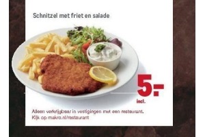 schnitzel met friet en salade