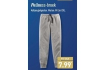 welness broek