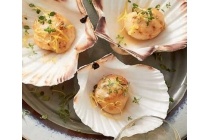 coquilles in schelp