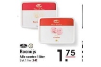 roomijs
