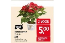 kerststerren