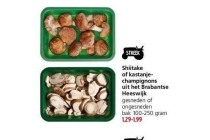 shiitake of kastanje champignons uit het brabantse heeswijk