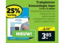 trekpleister kinesiologie