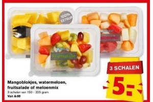 mangoblokjes watermeloen fruitsalade of meloenmix