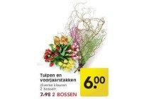 tulpen en voorjaarstakken