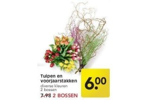 tulpen en voorjaarstakken