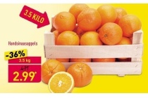 handsinaasappels
