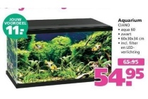 aquarium ciano