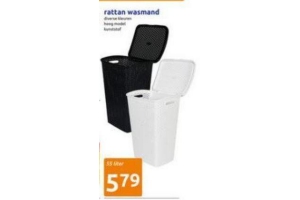 rattan wasmand