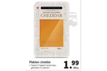 plakken cheddar