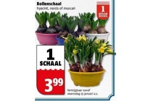 bollenschaal