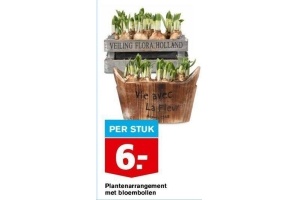 plantenarrangement met bloembollen