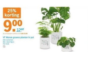 vt wonen groene planten in pot