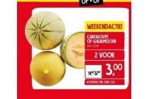 cantaloupe of galiameloen