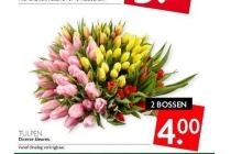 tulpen