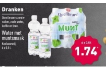 quellbrunn smaakwater met muntsmaak