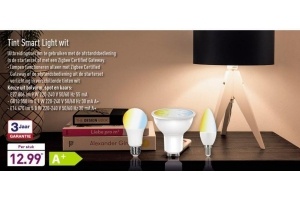 tint smart light wit