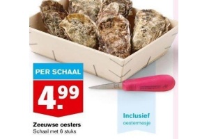 zeeuwse oesters