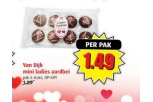 van dijk mini ladies aardbei