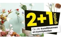 diverse kunstplanten