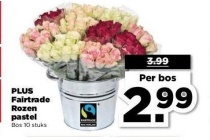 plus fairtrade rozen pastel