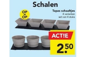 tapas schaaltjes