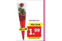 valentijnsroos