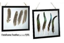 fotoframe feather