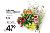 tulpen en voorjaarstakken