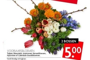 voorjaarsbloemen